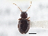  ( - CCDB-21333-B07)  @11 [ ] CreativeCommons - Attribution (2014) CBG Photography Group Centre for Biodiversity Genomics
