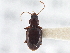  ( - CCDB-21333-B08)  @11 [ ] CreativeCommons - Attribution (2014) CBG Photography Group Centre for Biodiversity Genomics