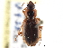  ( - CCDB-21333-G01)  @11 [ ] CreativeCommons - Attribution (2014) CBG Photography Group Centre for Biodiversity Genomics
