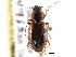  ( - CCDB-21333-G03)  @11 [ ] CreativeCommons - Attribution (2014) CBG Photography Group Centre for Biodiversity Genomics