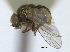  ( - CCDB-21422-A10)  @11 [ ] CreativeCommons - Attribution (2014) CBG Photography Group Centre for Biodiversity Genomics
