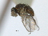  ( - CCDB-21422-A11)  @11 [ ] CreativeCommons - Attribution (2014) CBG Photography Group Centre for Biodiversity Genomics