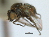 ( - CCDB-21422-B01)  @11 [ ] CreativeCommons - Attribution (2014) CBG Photography Group Centre for Biodiversity Genomics