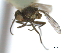  ( - CCDB-21422-C10)  @11 [ ] CreativeCommons - Attribution (2014) CBG Photography Group Centre for Biodiversity Genomics