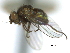  ( - CCDB-21422-C11)  @11 [ ] CreativeCommons - Attribution (2014) CBG Photography Group Centre for Biodiversity Genomics