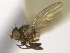  ( - CCDB-21422-D10)  @11 [ ] CreativeCommons - Attribution (2014) CBG Photography Group Centre for Biodiversity Genomics