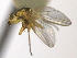  ( - CCDB-21422-E11)  @11 [ ] CreativeCommons - Attribution (2014) CBG Photography Group Centre for Biodiversity Genomics