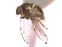  ( - CCDB-21422-G03)  @11 [ ] CreativeCommons - Attribution (2014) CBG Photography Group Centre for Biodiversity Genomics