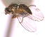  ( - CCDB-21422-G07)  @11 [ ] CreativeCommons - Attribution (2014) CBG Photography Group Centre for Biodiversity Genomics