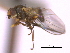  ( - CCDB-21422-G09)  @11 [ ] CreativeCommons - Attribution (2014) CBG Photography Group Centre for Biodiversity Genomics