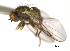  ( - CCDB-21422-G10)  @12 [ ] CreativeCommons - Attribution (2014) CBG Photography Group Centre for Biodiversity Genomics