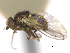  ( - CCDB-21422-H02)  @11 [ ] CreativeCommons - Attribution (2014) CBG Photography Group Centre for Biodiversity Genomics
