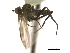  ( - CCDB-21399-D01)  @13 [ ] CreativeCommons - Attribution (2014) CBG Photography Group Centre for Biodiversity Genomics