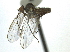  ( - CCDB-21399-H05)  @13 [ ] CreativeCommons - Attribution (2014) CBG Photography Group Centre for Biodiversity Genomics