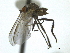  ( - CCDB-21399-H06)  @12 [ ] CreativeCommons - Attribution (2014) CBG Photography Group Centre for Biodiversity Genomics
