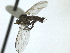  ( - CCDB-21399-H08)  @14 [ ] CreativeCommons - Attribution (2014) CBG Photography Group Centre for Biodiversity Genomics