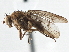  ( - CCDB-21401-A12)  @14 [ ] CreativeCommons - Attribution (2014) CBG Photography Group Centre for Biodiversity Genomics