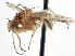  ( - CCDB-21401-B04)  @13 [ ] CreativeCommons - Attribution (2014) CBG Photography Group Centre for Biodiversity Genomics