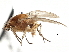  ( - CCDB-21401-B05)  @14 [ ] CreativeCommons - Attribution (2014) CBG Photography Group Centre for Biodiversity Genomics