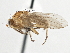  ( - CCDB-21401-B06)  @14 [ ] CreativeCommons - Attribution (2014) CBG Photography Group Centre for Biodiversity Genomics