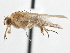  ( - CCDB-21401-B07)  @14 [ ] CreativeCommons - Attribution (2014) CBG Photography Group Centre for Biodiversity Genomics
