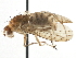  ( - CCDB-21401-B10)  @15 [ ] CreativeCommons - Attribution (2014) CBG Photography Group Centre for Biodiversity Genomics