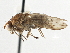  ( - CCDB-21401-B11)  @14 [ ] CreativeCommons - Attribution (2014) CBG Photography Group Centre for Biodiversity Genomics