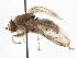  ( - CCDB-21401-C11)  @11 [ ] CreativeCommons - Attribution (2014) CBG Photography Group Centre for Biodiversity Genomics