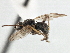  ( - CCDB-21401-F05)  @14 [ ] CreativeCommons - Attribution (2014) CBG Photography Group Centre for Biodiversity Genomics