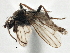  ( - CCDB-21401-F07)  @11 [ ] CreativeCommons - Attribution (2014) CBG Photography Group Centre for Biodiversity Genomics