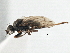  ( - CCDB-21401-F08)  @14 [ ] CreativeCommons - Attribution (2014) CBG Photography Group Centre for Biodiversity Genomics