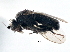  ( - CCDB-21401-H05)  @11 [ ] CreativeCommons - Attribution (2014) CBG Photography Group Centre for Biodiversity Genomics