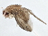  ( - CCDB-21402-F12)  @12 [ ] CreativeCommons - Attribution (2014) CBG Photography Group Centre for Biodiversity Genomics