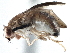  ( - CCDB-21402-G02)  @14 [ ] CreativeCommons - Attribution (2014) CBG Photography Group Centre for Biodiversity Genomics