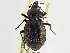  ( - CCDB-21406-A02)  @11 [ ] CreativeCommons - Attribution (2014) CBG Photography Group Centre for Biodiversity Genomics