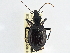  ( - CCDB-21406-B04)  @11 [ ] CreativeCommons - Attribution (2014) CBG Photography Group Centre for Biodiversity Genomics