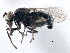  ( - CCDB-21410-A12)  @11 [ ] CreativeCommons - Attribution (2014) CBG Photography Group Centre for Biodiversity Genomics