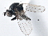  ( - CCDB-21410-B01)  @13 [ ] CreativeCommons - Attribution (2014) CBG Photography Group Centre for Biodiversity Genomics