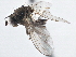  ( - CCDB-21410-B06)  @11 [ ] CreativeCommons - Attribution (2014) CBG Photography Group Centre for Biodiversity Genomics