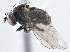  ( - CCDB-21410-B07)  @13 [ ] CreativeCommons - Attribution (2014) CBG Photography Group Centre for Biodiversity Genomics