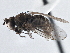  ( - CCDB-21410-B08)  @13 [ ] CreativeCommons - Attribution (2014) CBG Photography Group Centre for Biodiversity Genomics