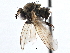  ( - CCDB-21410-C03)  @13 [ ] CreativeCommons - Attribution (2014) CBG Photography Group Centre for Biodiversity Genomics