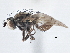  ( - CCDB-21410-D03)  @13 [ ] CreativeCommons - Attribution (2014) CBG Photography Group Centre for Biodiversity Genomics