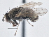  ( - CCDB-21410-E04)  @12 [ ] CreativeCommons - Attribution (2014) CBG Photography Group Centre for Biodiversity Genomics