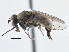  ( - CCDB-21410-E06)  @11 [ ] CreativeCommons - Attribution (2014) CBG Photography Group Centre for Biodiversity Genomics