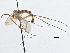  ( - CCDB-21411-C09)  @13 [ ] CreativeCommons - Attribution (2014) CBG Photography Group Centre for Biodiversity Genomics