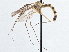  ( - CCDB-21411-C11)  @14 [ ] CreativeCommons - Attribution (2014) CBG Photography Group Centre for Biodiversity Genomics