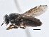  ( - CCDB-21411-F07)  @11 [ ] CreativeCommons - Attribution (2014) CBG Photography Group Centre for Biodiversity Genomics