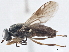  ( - CCDB-21411-F11)  @11 [ ] CreativeCommons - Attribution (2014) CBG Photography Group Centre for Biodiversity Genomics