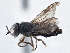  ( - CCDB-21411-G05)  @11 [ ] CreativeCommons - Attribution (2014) CBG Photography Group Centre for Biodiversity Genomics